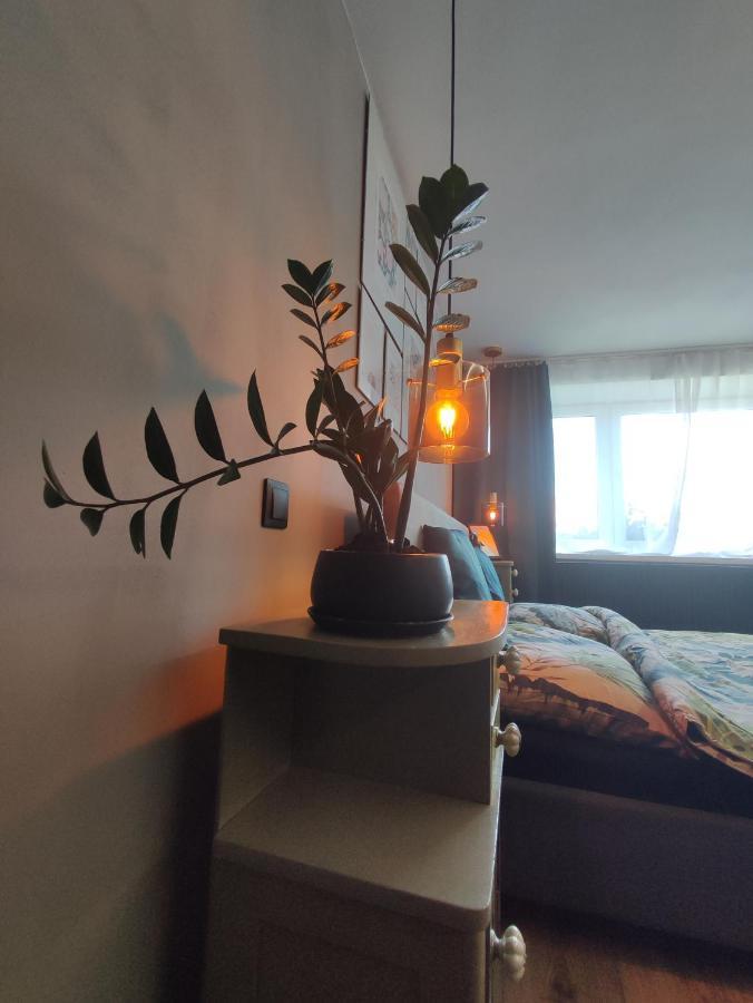 Dian Feelhome Banska Bela Exterior photo